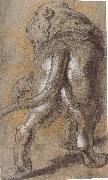 Peter Paul Rubens Lion oil painting artist